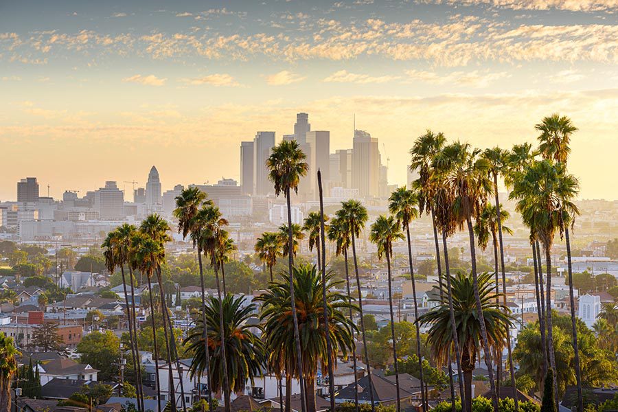 Contact - Los Angeles, California Skyline at Sunset, Grove of Palm Trees in the Foreground
